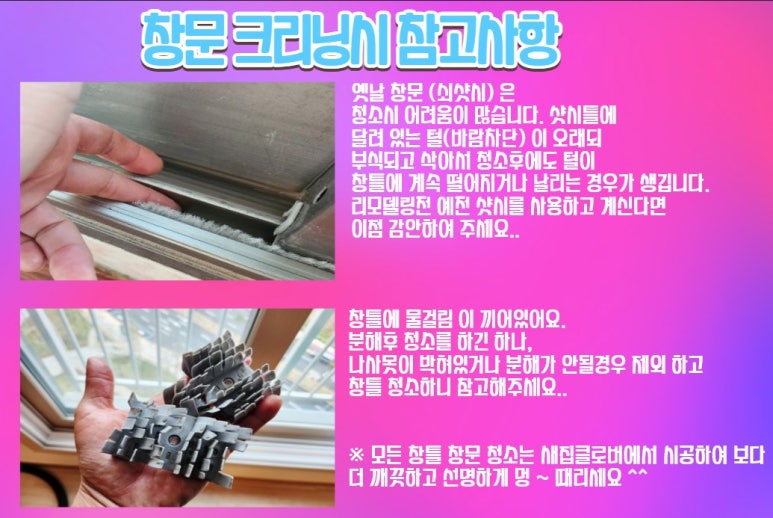새집클로버 이미지