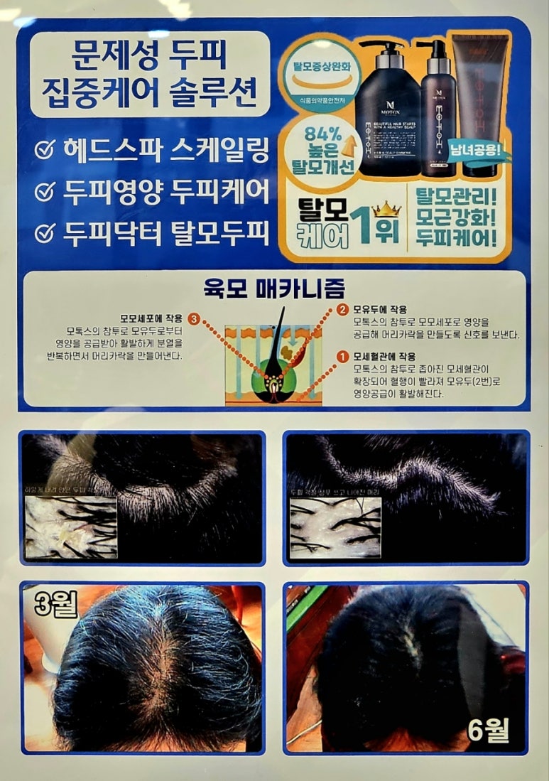 바이오리플렉스 이미지