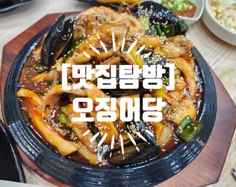 오징어당 이미지