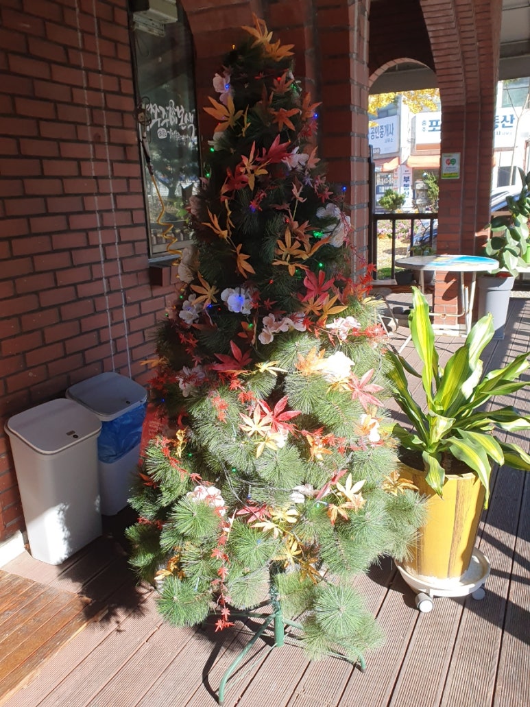 충주쭈꾸미본색 이미지