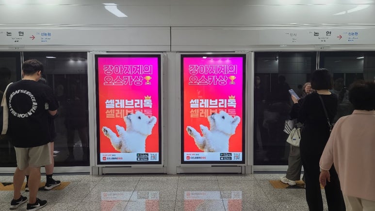애드독 이미지