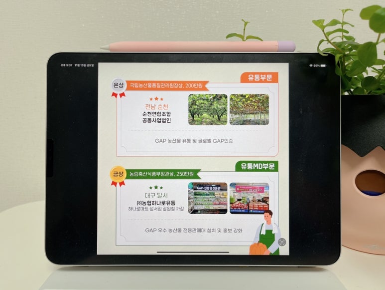 성서유통주 이미지