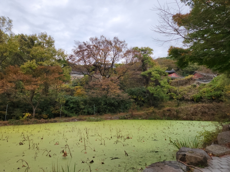 (주)본궁 이미지