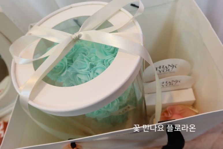 플로라온 이미지