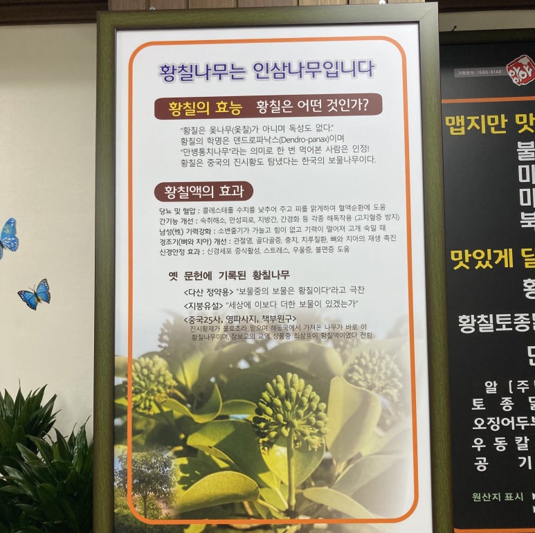 황칠토종족발 이미지