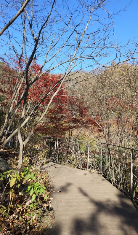 궁뜨레 이미지