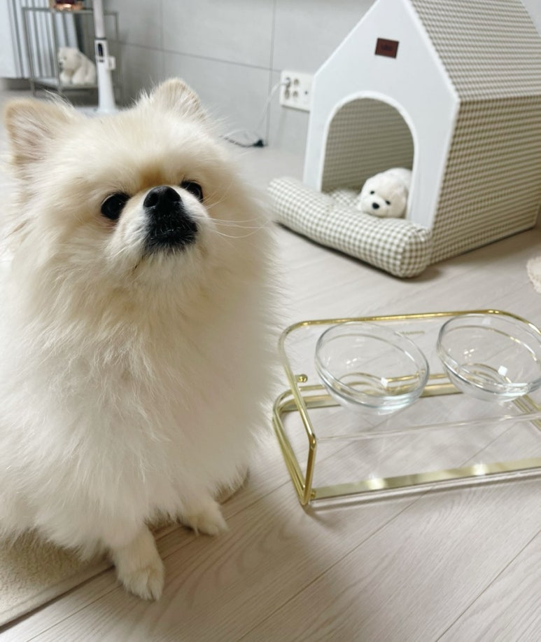 코모전자 이미지