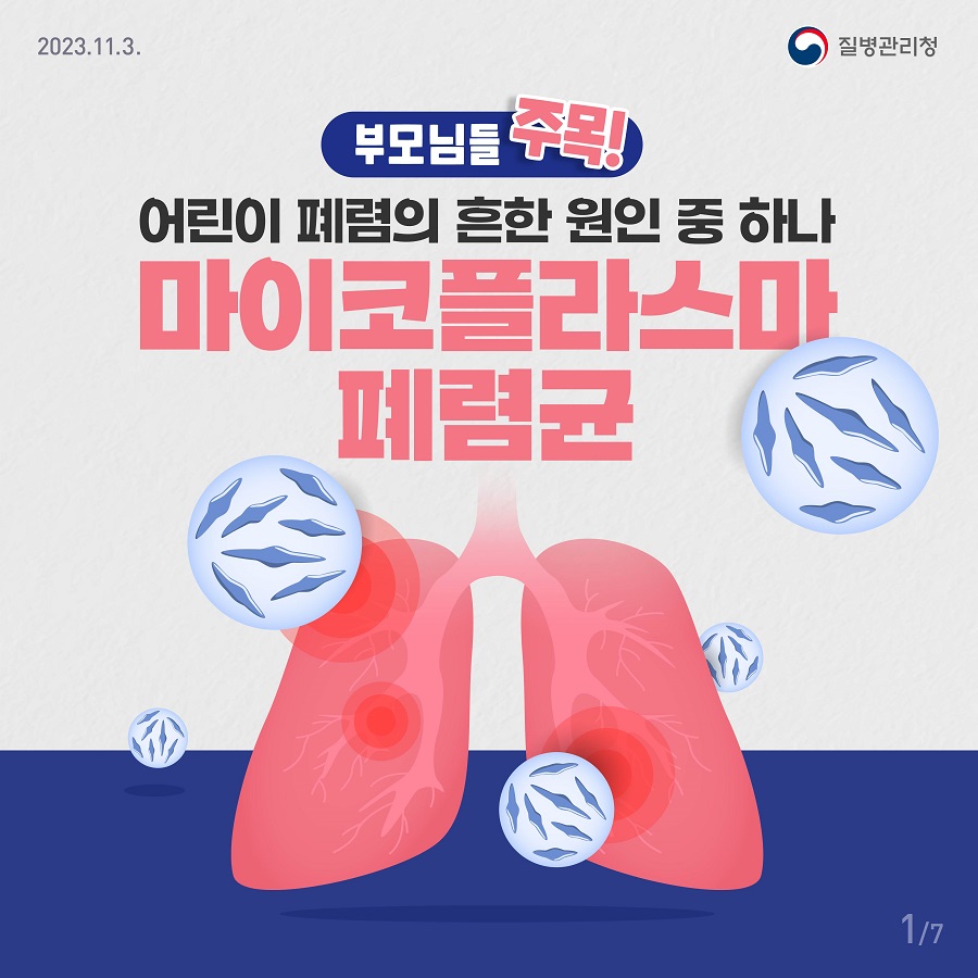 보눔172 이미지