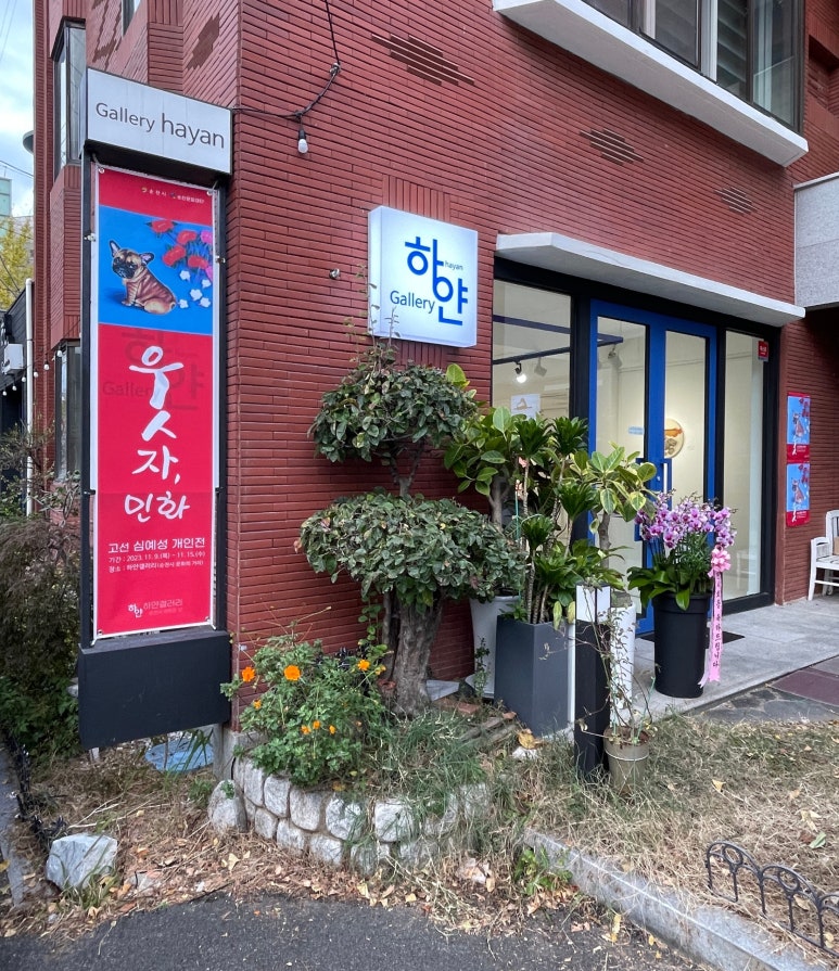 심예성 이미지
