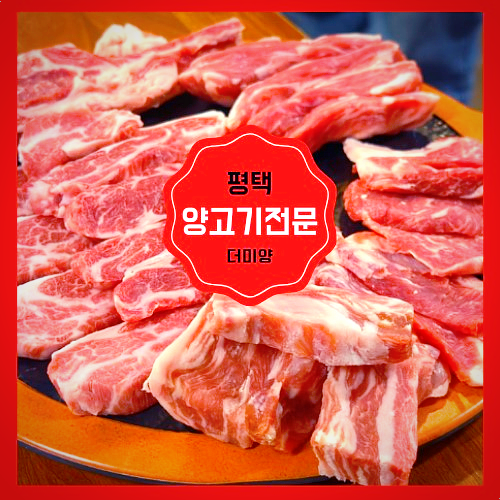 더미양 이미지
