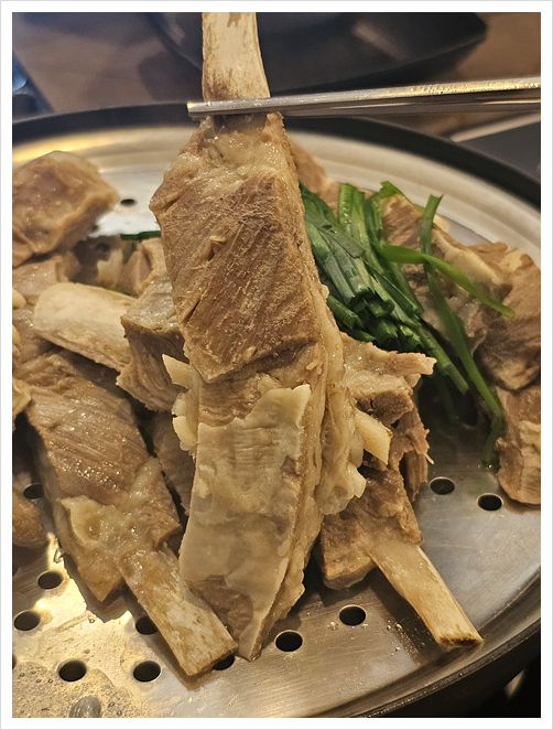 양이야기 이미지