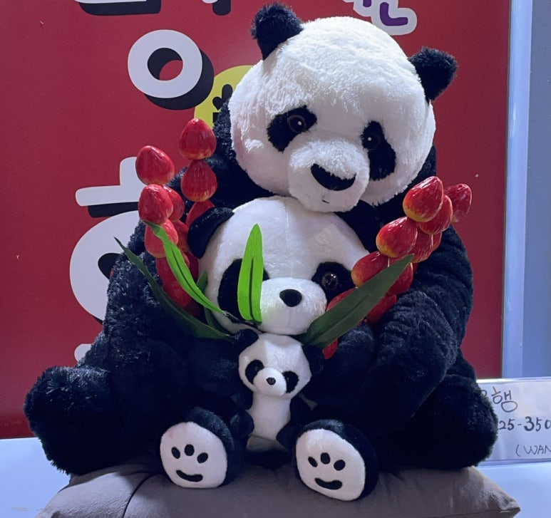왕령관네 이미지