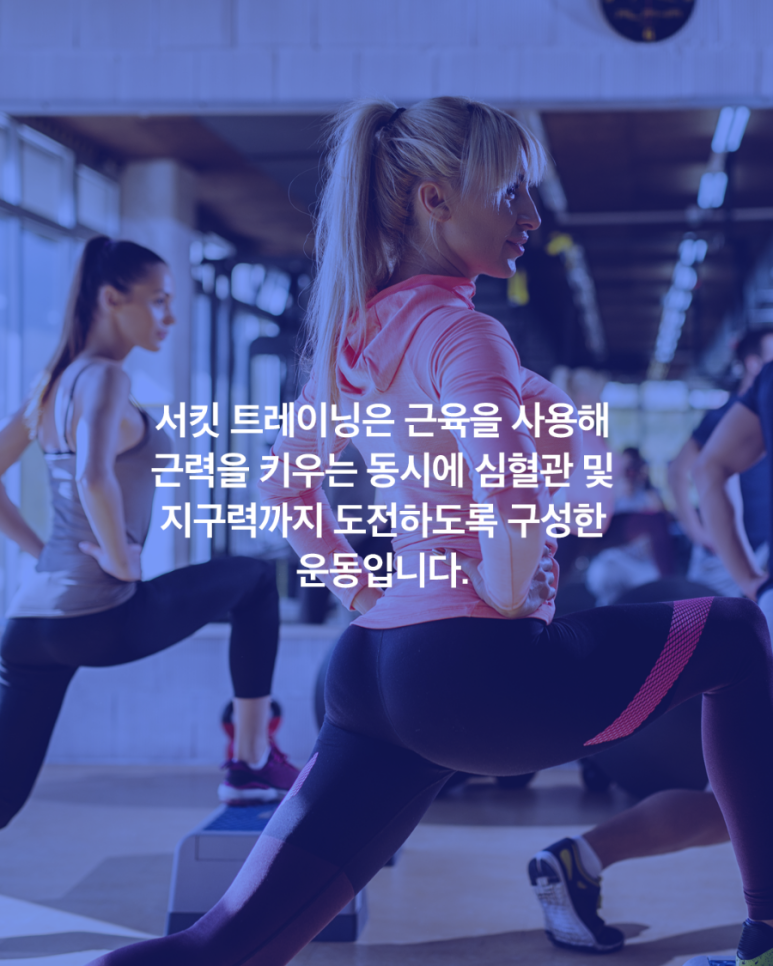 두써킷 이미지