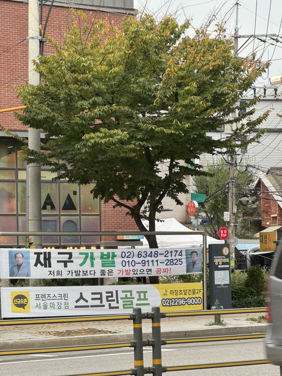 재구가발 이미지