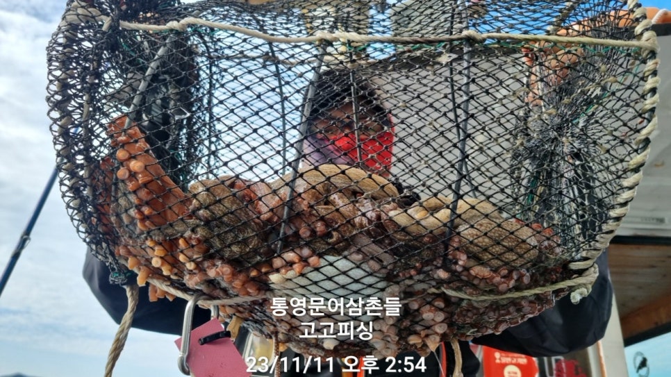 초이스피싱 이미지