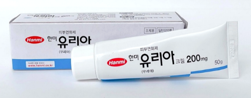 수유리아 이미지