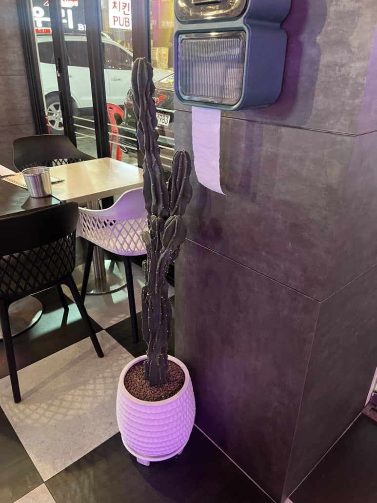 명일호프 이미지