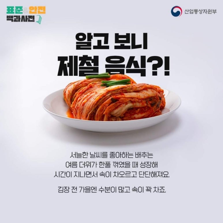 늘찬김치 이미지