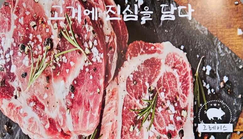 그레이스돈뭉치 이미지