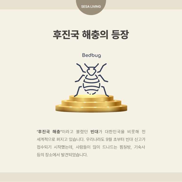 경안셀프 이미지