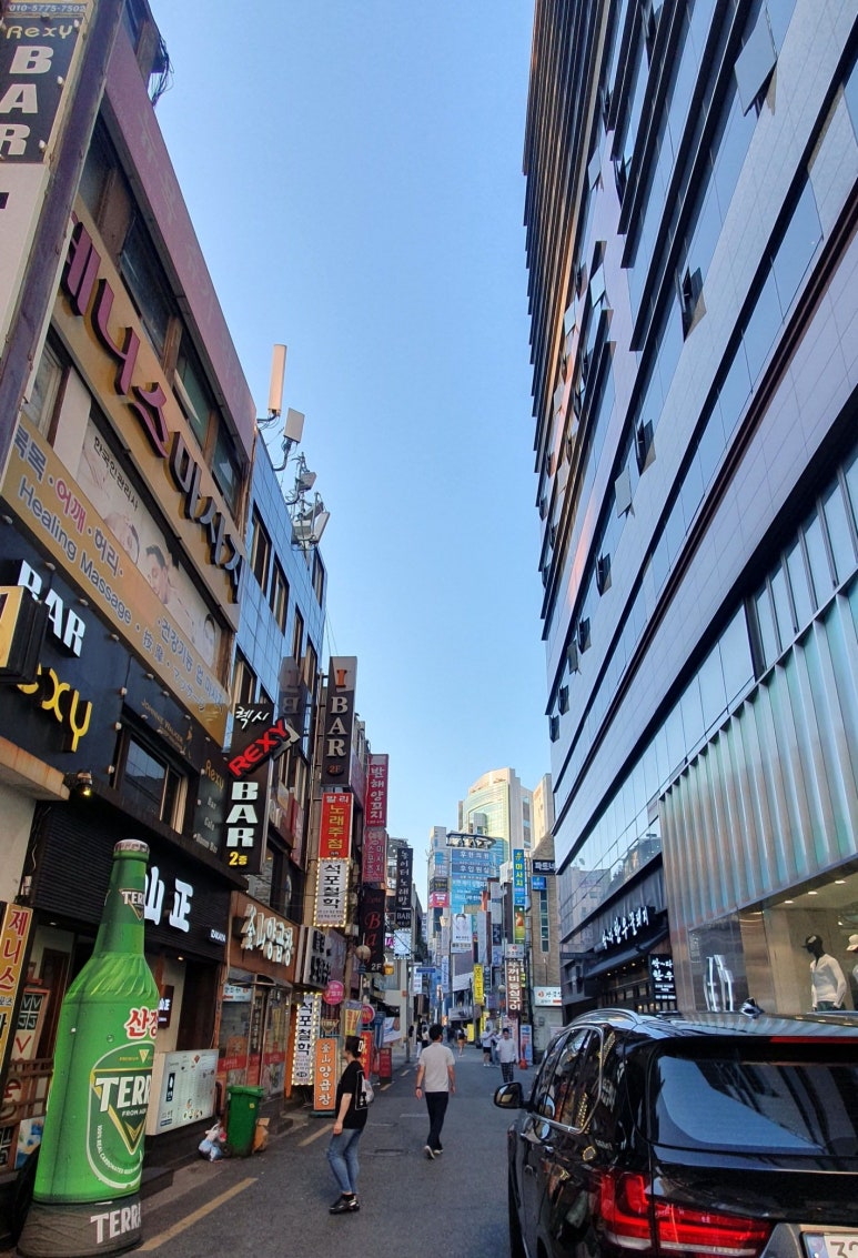 토지생오리 이미지