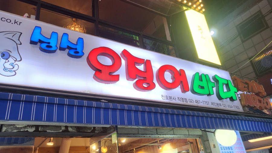 싱싱오징어바다 이미지