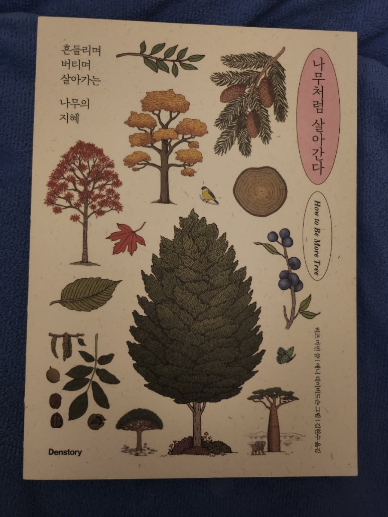 카페동희 이미지