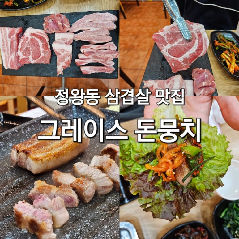 그레이스돈뭉치 이미지