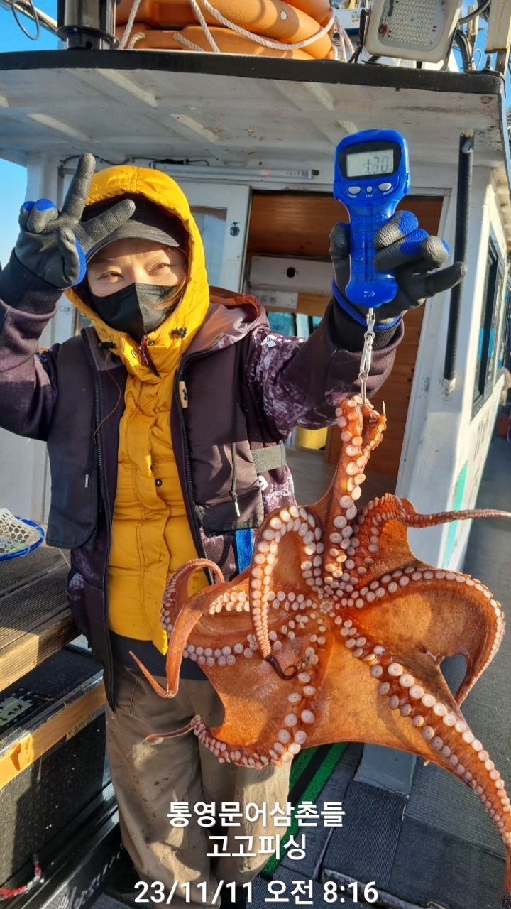 초이스피싱 이미지