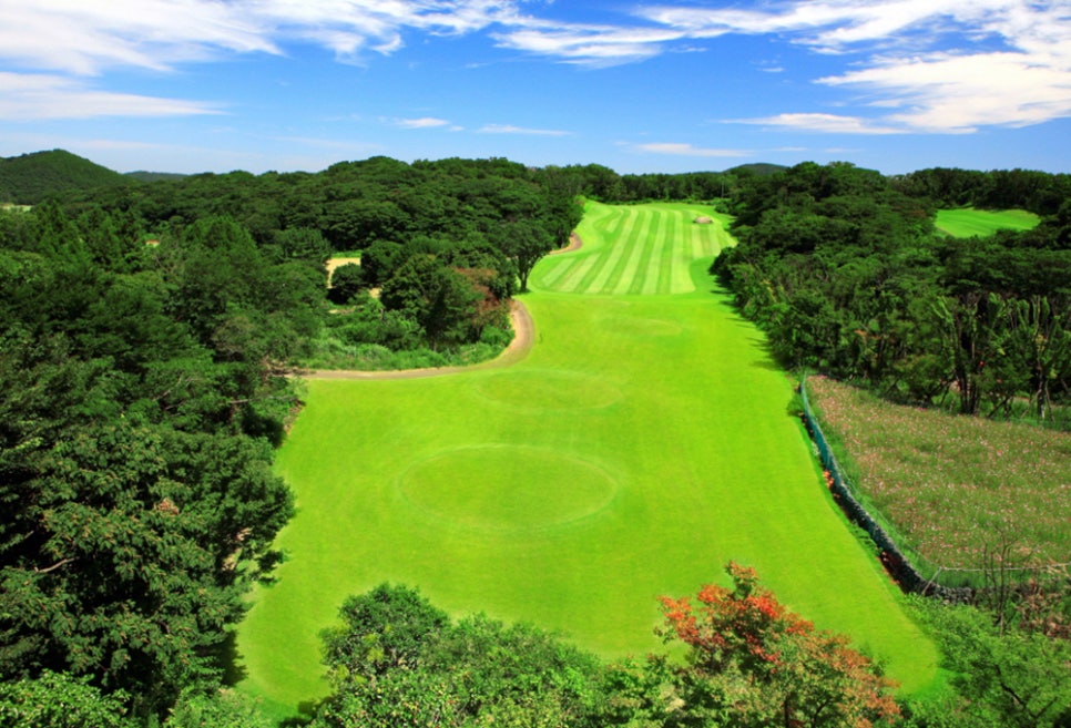한라산티하우스2 사진 8