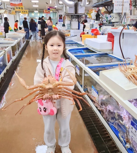 대성대게타운 이미지