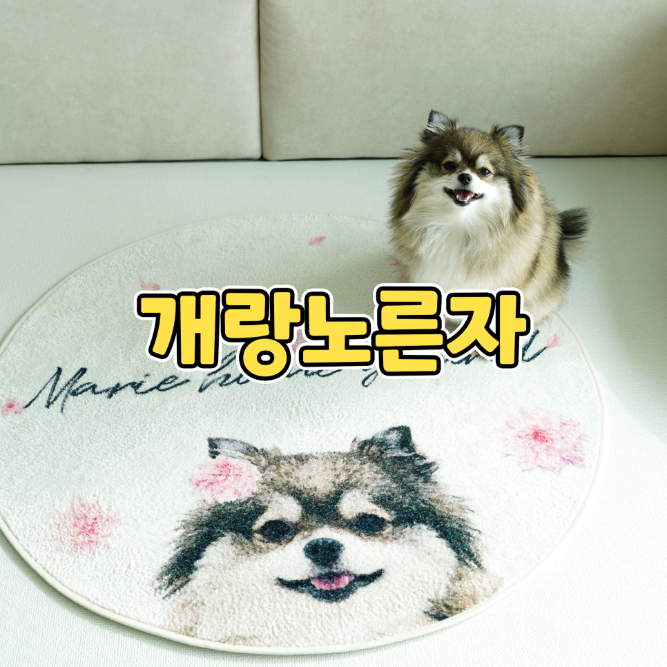 아이러그유 이미지