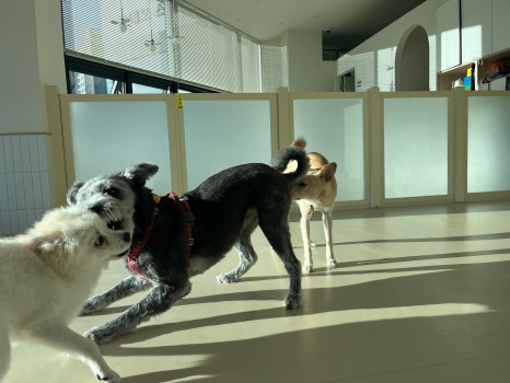 친구야놀자2 이미지