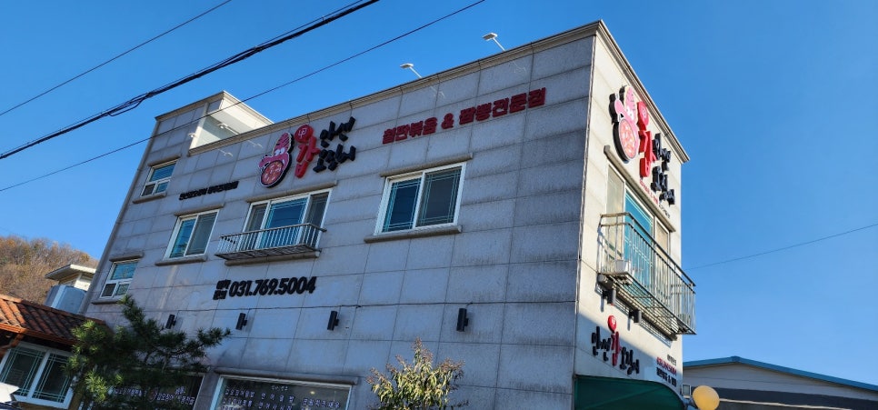 만선갑오징어 이미지