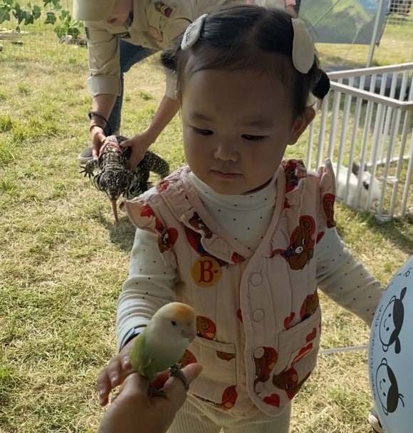 아이비화원 이미지