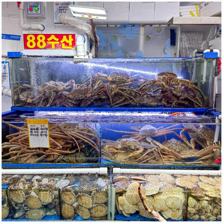 싱싱젓갈수산 이미지