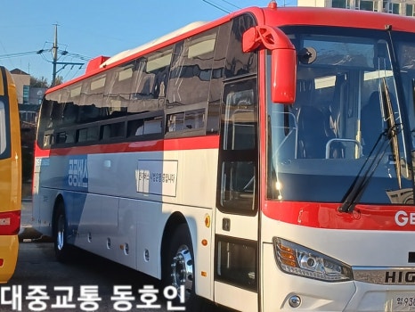 지연다실 이미지