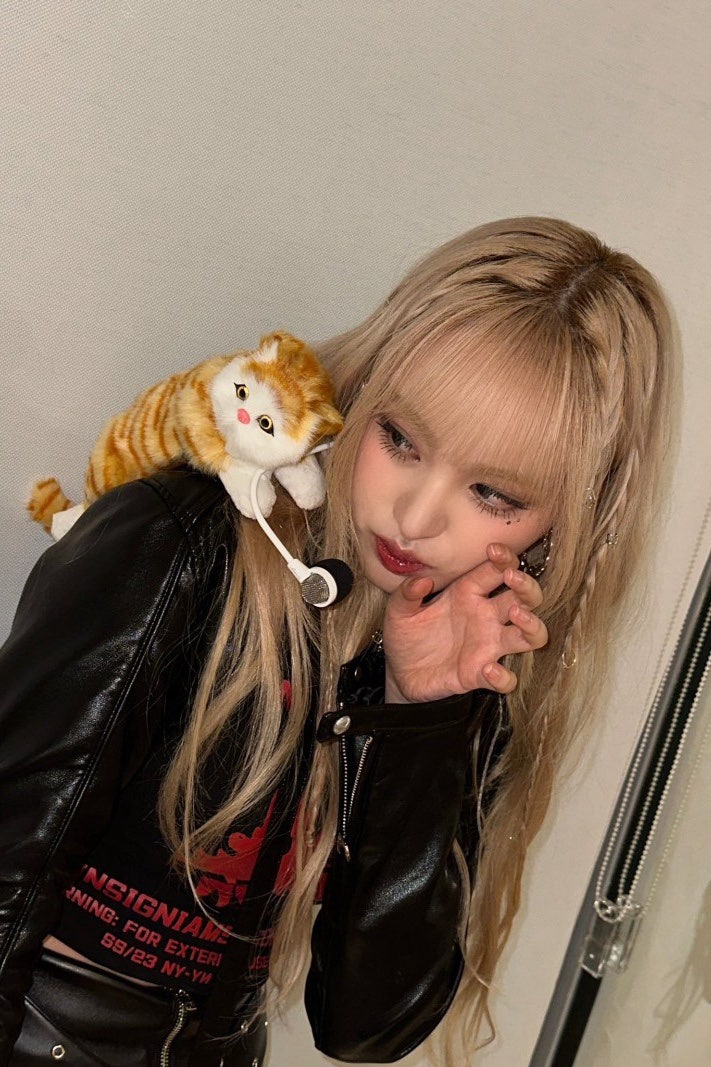 버블리즈 이미지