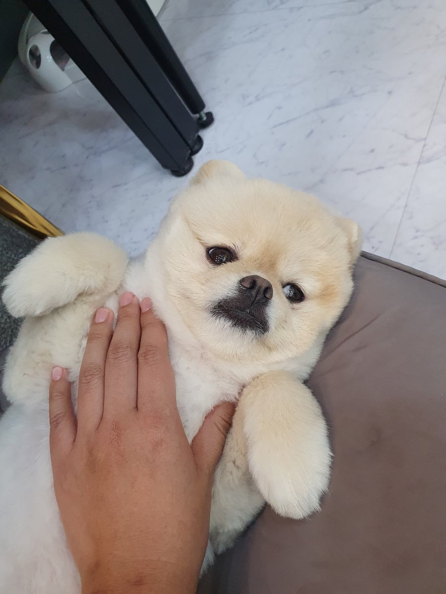 아롱네일 이미지