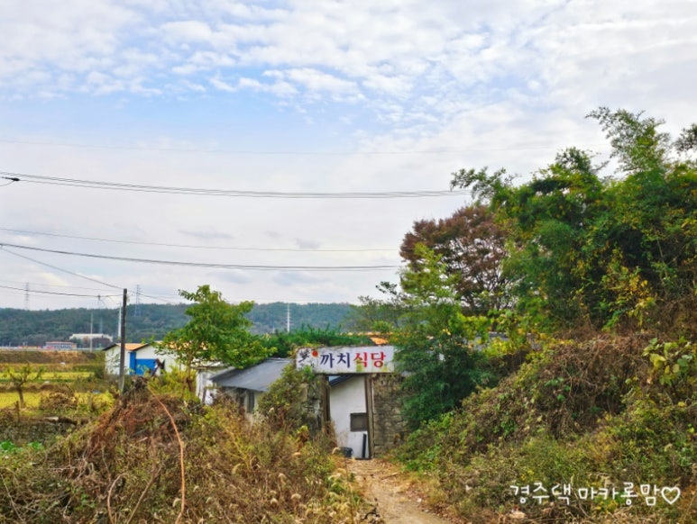 까치주유소 이미지