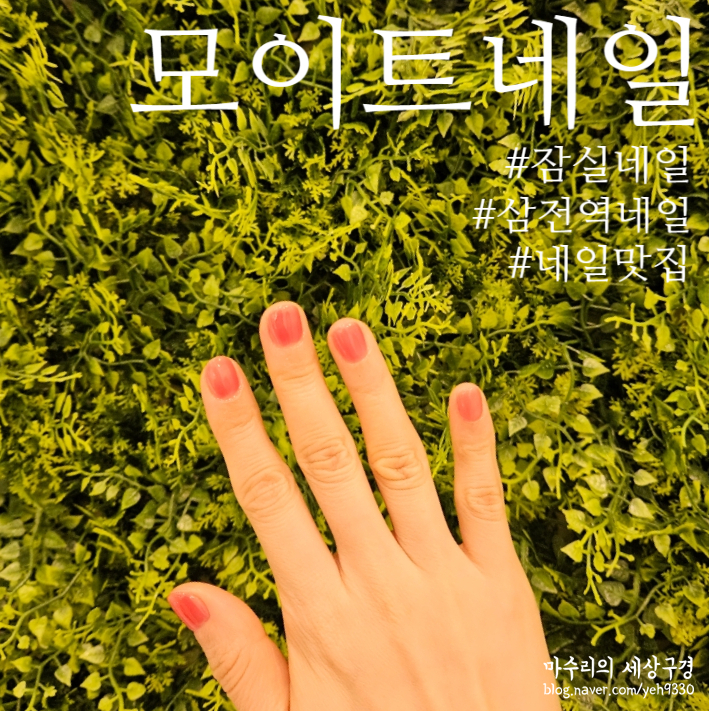 모이트네일 이미지
