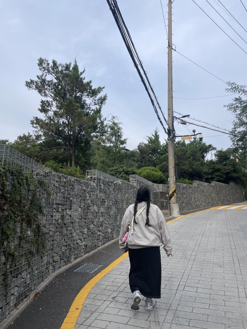 꼰떼 이미지