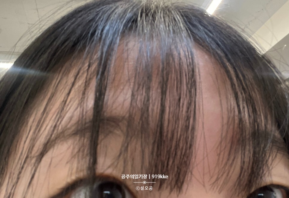 논노브 이미지