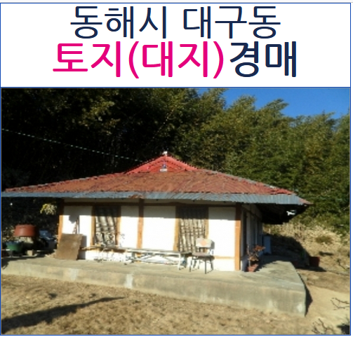 대구동_강릉 이미지