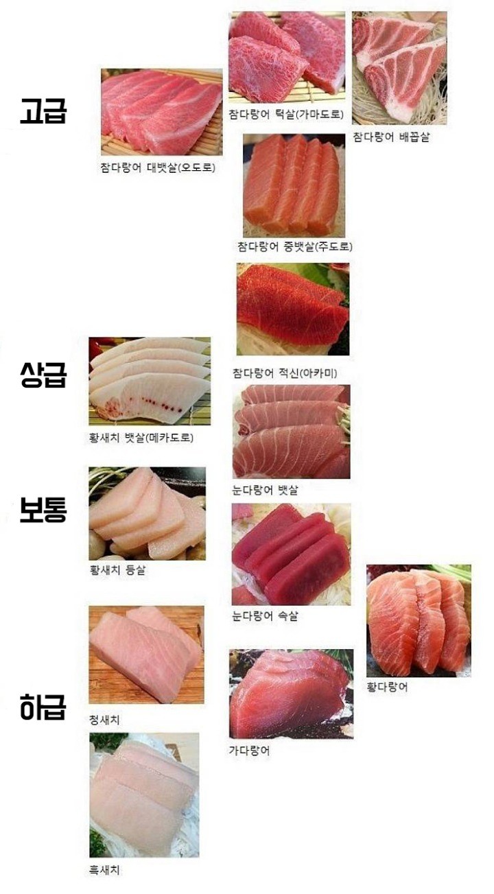 태풍참치 사진 5