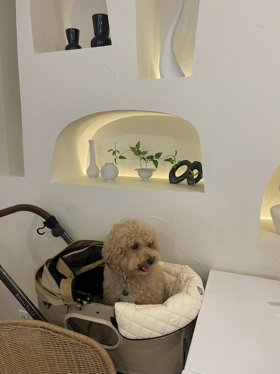 라브리크스타필드 이미지