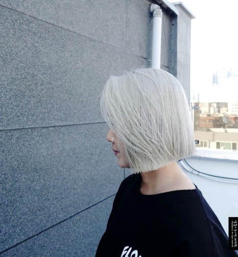 논노브 이미지