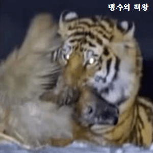 나랏말교육 이미지