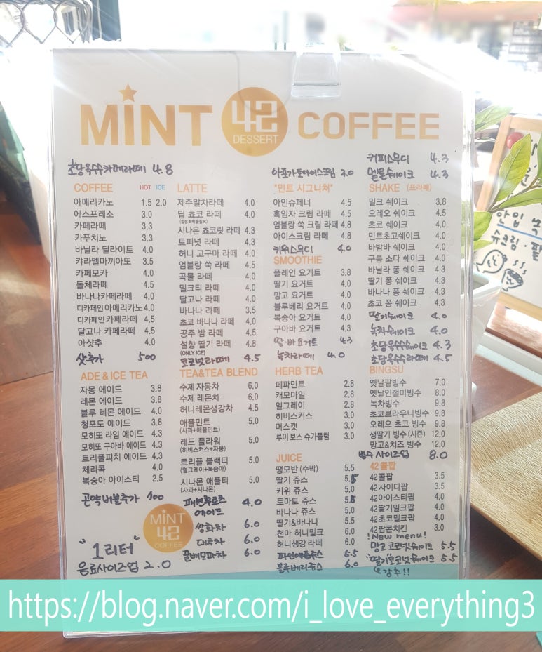민트42 이미지