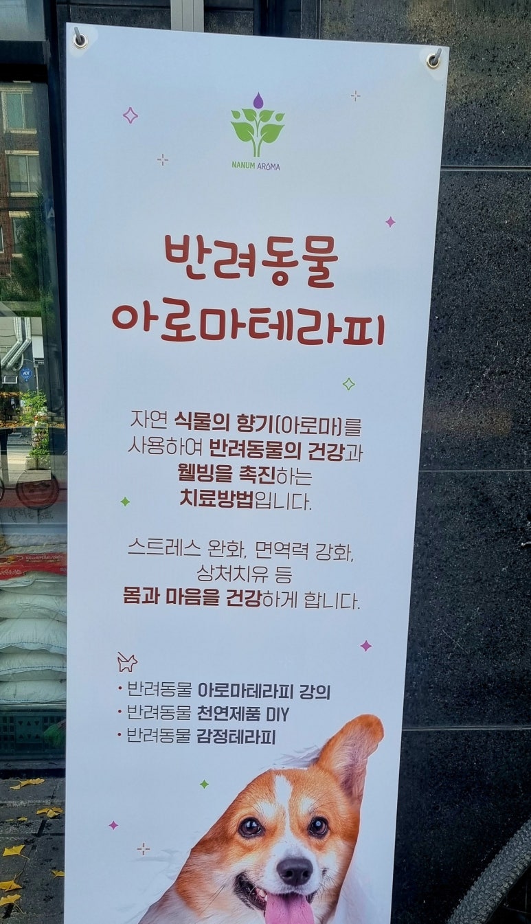 한국아로마교육원 이미지